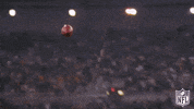 Super Bowl Vintage GIF by NFL