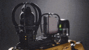 Robots GIF by BostonDynamics