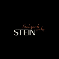 SteinInvestimentos  GIF
