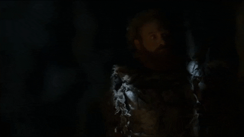 joelmorton giphygifmaker game of thrones tormund this is the way GIF