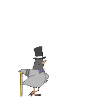 Dandywellington pidge dandy wellington dandywellington dandywellingtonshop Sticker