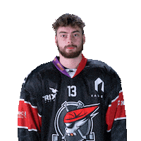 Hokej Sticker by Piráti Chomutov