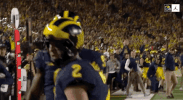 Go Blue Michigan Football GIF by Michigan Athletics