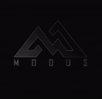 GIF by ModusGT