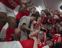 Arsenal GIF by memes