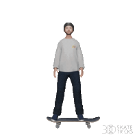 3dskatetricks skate skateboard street skateboarding Sticker