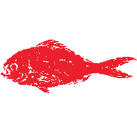 Rainbow Fish Sticker by Gyotaku Gifts