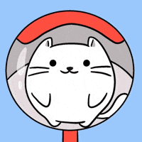 Positive Vibes Smug Face GIF by MESA My Emotional Support Animal