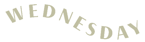 Wednesday Sticker