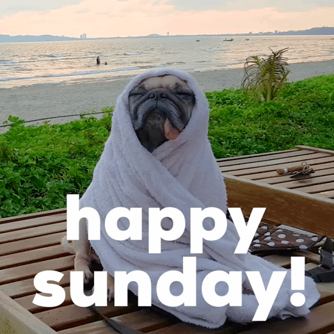 Happy Sunday!