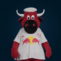 Football Sport GIF by FC Red Bull Salzburg