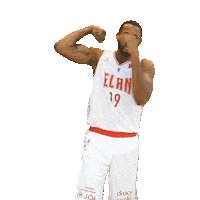 Celebration Dunk Sticker by Elan Chalon