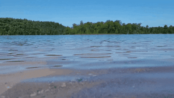 shirokuma giphygifmaker giphygifmakermobile au sable river GIF