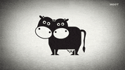 animation illustration GIF by MOOT