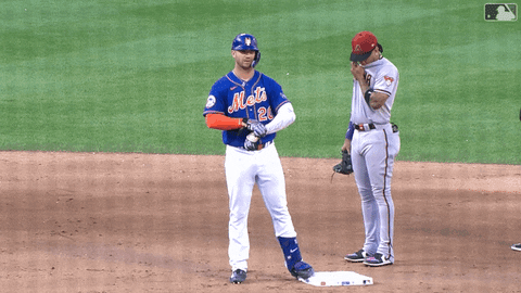 Sport Celebration GIF by New York Mets