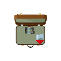 Feria De Madrid Travel Sticker by IFEMA