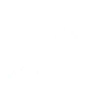 Flying Feria De Madrid Sticker by IFEMA