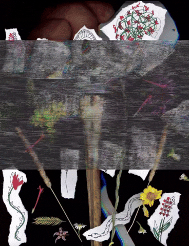 Stevesartandcacti art glitch trippy weird GIF