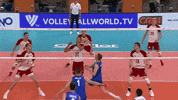 Happy Power GIF by Volleyball World