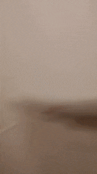 Toilet Robbin GIF by VR-Innovations