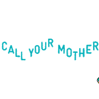 Washington Dc Fun Sticker by Call Your Mother Deli