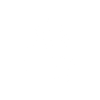 Plant Fern Sticker by Storm Agency