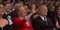 Oh Stop Meryl Streep GIF by The Academy Awards