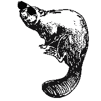 Hucsc Sticker by Huron University College Students' Council