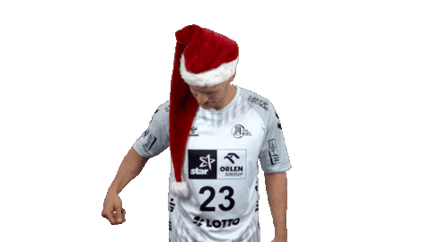 Handball-Bundesliga Christmas Sticker by LIQUI MOLY HBL