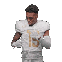 Ncaa Football Sticker by UCF Knights