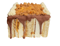 Ice Cream Cake Sticker by foodbabyny