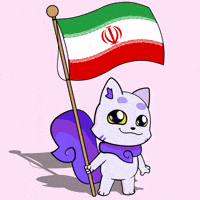 Flag Iran GIF by Lucky Kat Studios