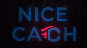 Nice Catch GIF by TripleCrownSports