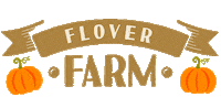 Autumn Pumpkin Sticker by Flover