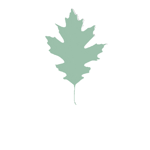 Willow Maple Sticker by WinShape Camps