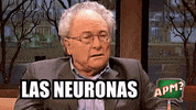 Fritas Punset GIF by Alguna Pregunta Més?