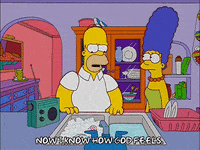 homer simpson episode 13 GIF