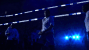 sylvia fowles GIF by WNBA