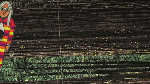 chadvangaalen giphydvr animation illustration hand drawn GIF