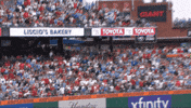 Blue Jays Baseball GIF by Toronto Blue Jays