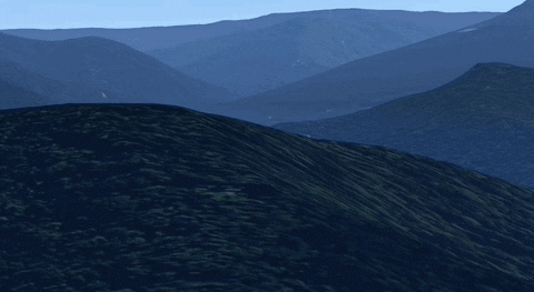 TCRHi giphyupload GIF