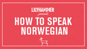 netflix lol GIF by Lilyhammer