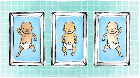 babies GIF
