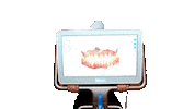 griselmartos miami dentist dentistry 305 Sticker