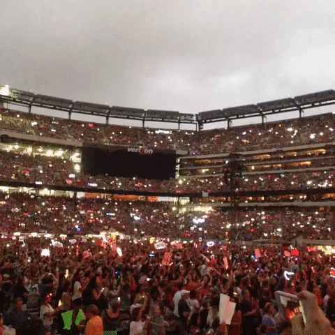 taylorswift GIF by emibob