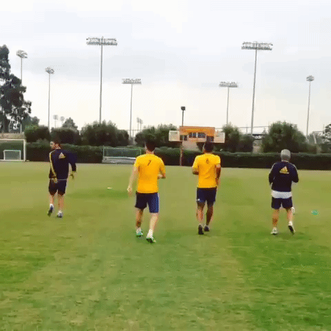 colvla GIF by LA Galaxy