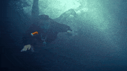 might not music video GIF by Belly