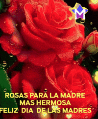 Dia De Las Madres Feliz GIF by Murcianys LLC