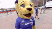 football soccer GIF by International Champions Cup