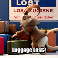 Travel Adventure GIF by Radiantelope
